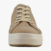 Desert Khaki Canvas