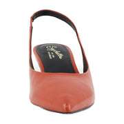 Tomato Leather