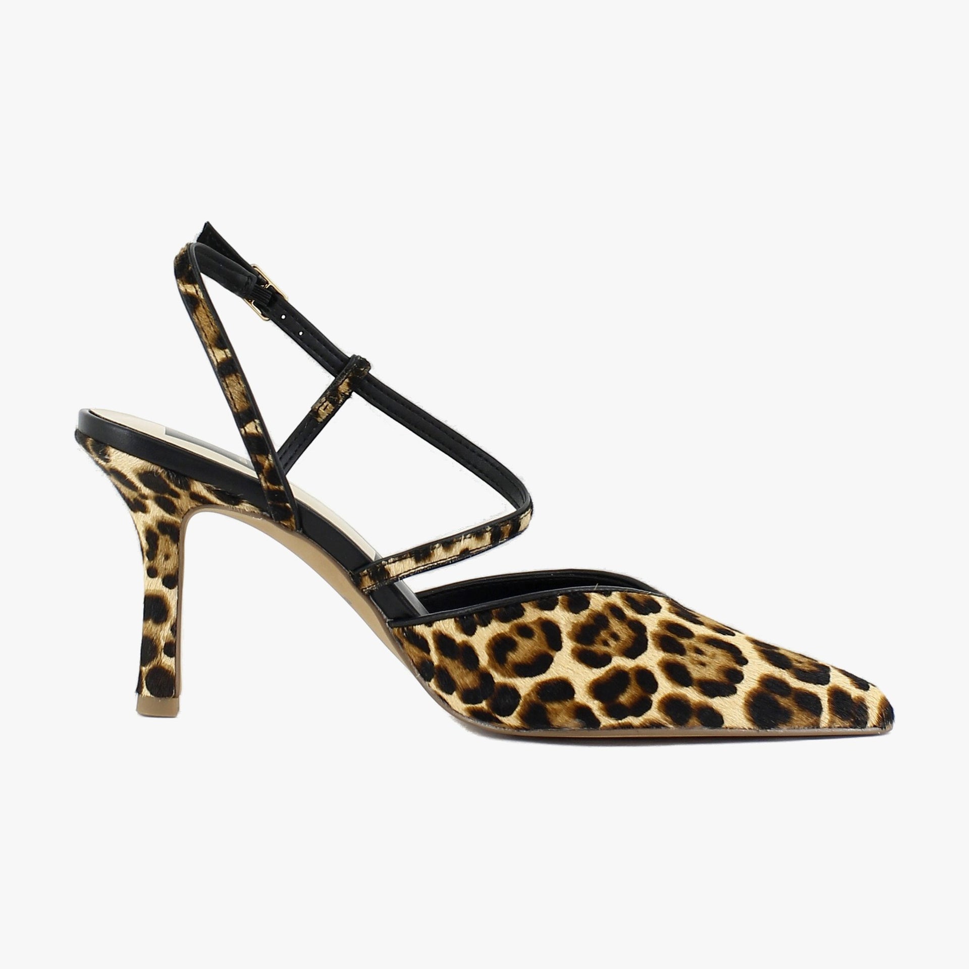 Dk Leopard