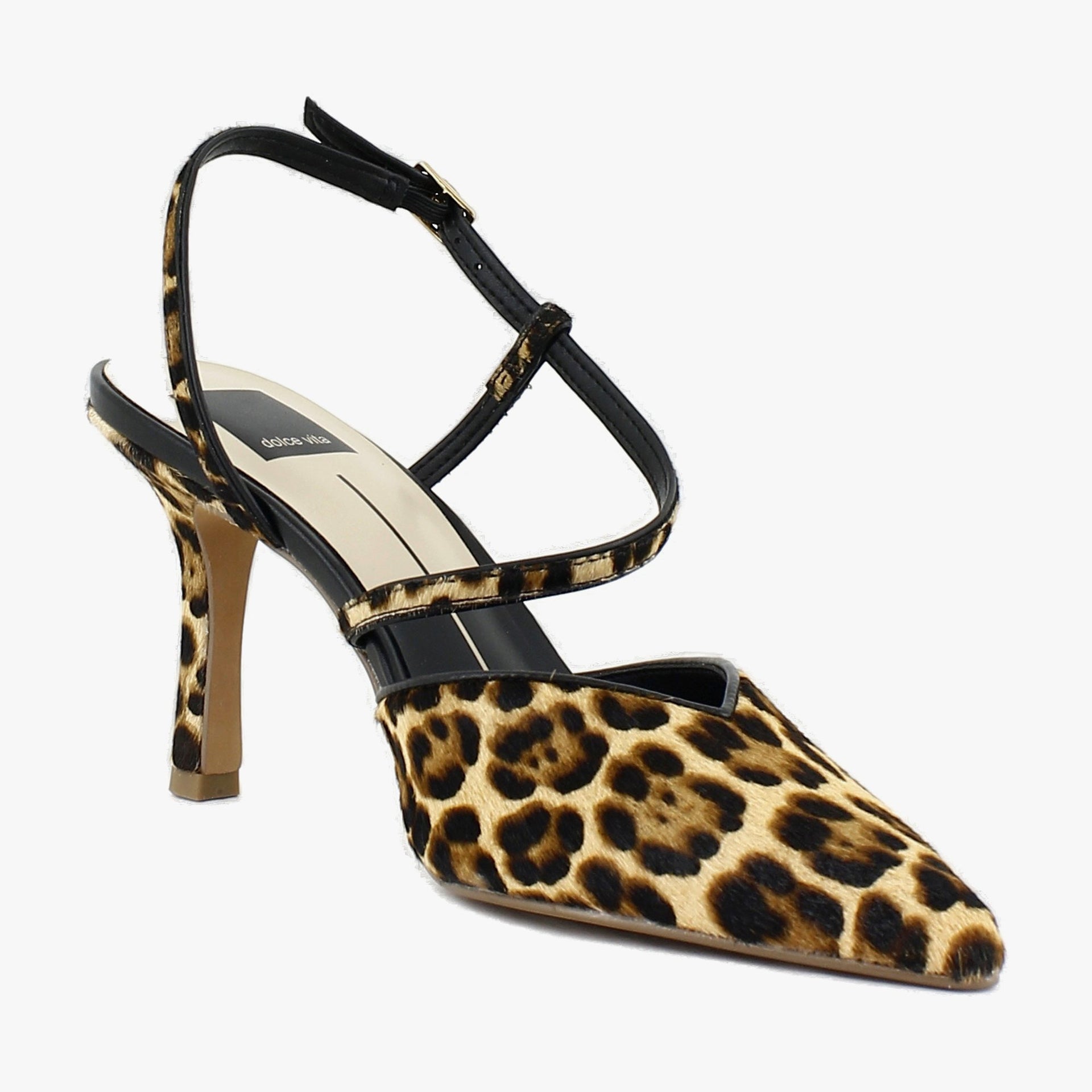 Dk Leopard