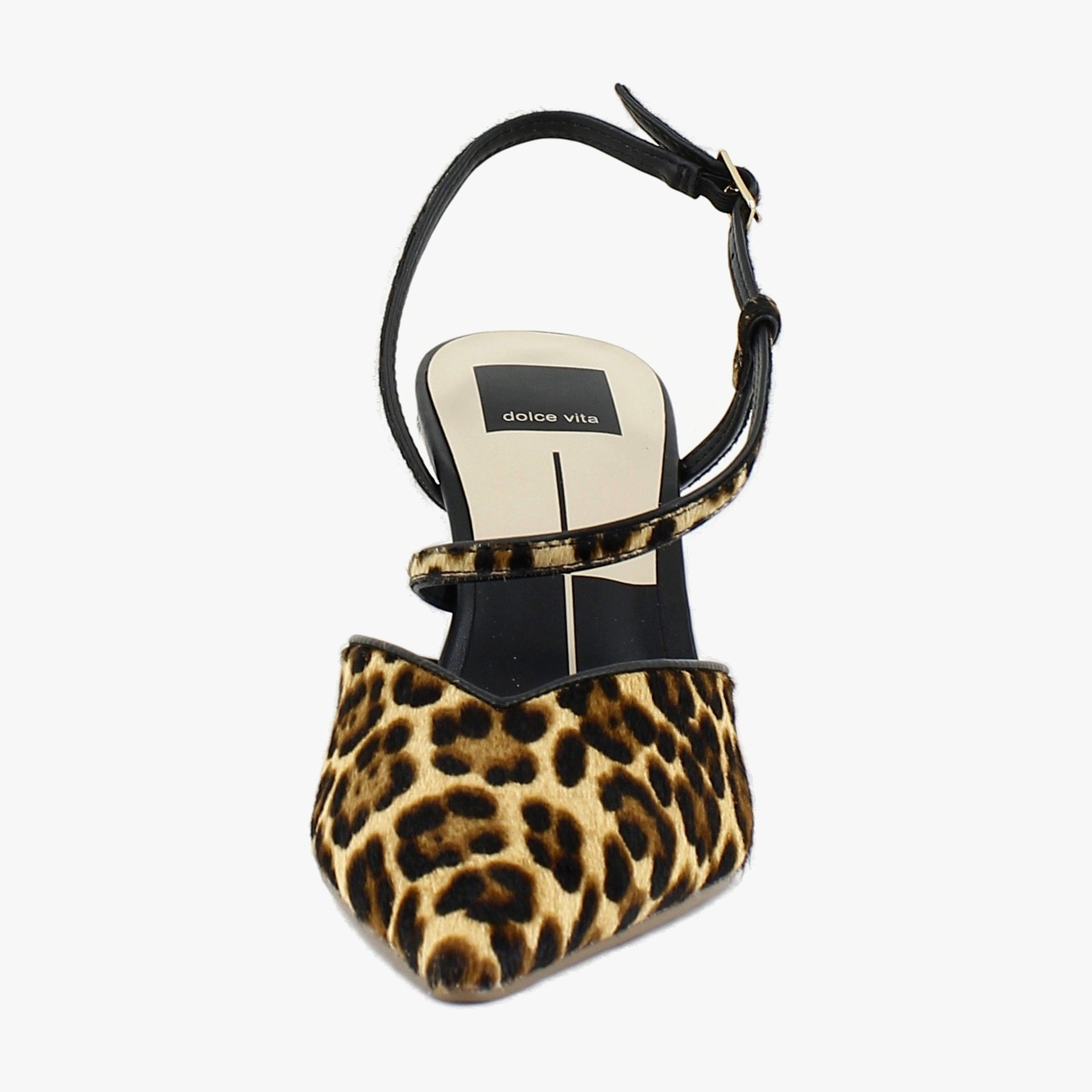 Dk Leopard