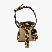 Dk Leopard