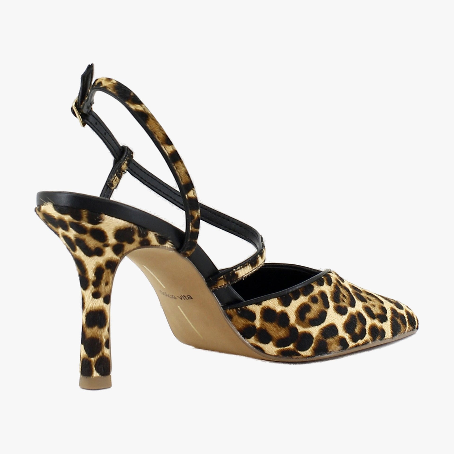 Dk Leopard