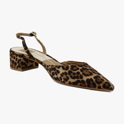 Dk Leopard