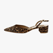 Dk Leopard