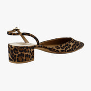 Dk Leopard
