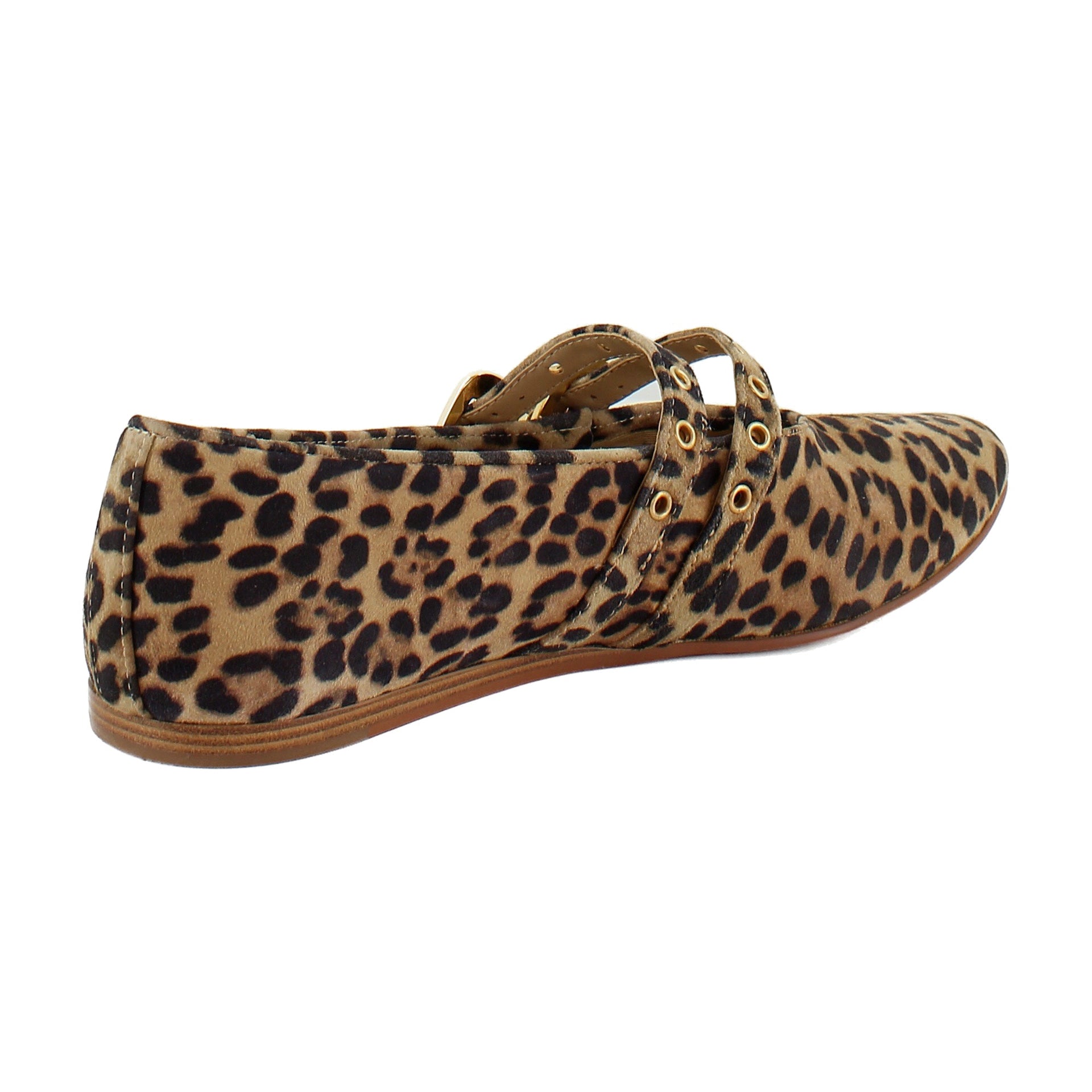 Dk Leopard