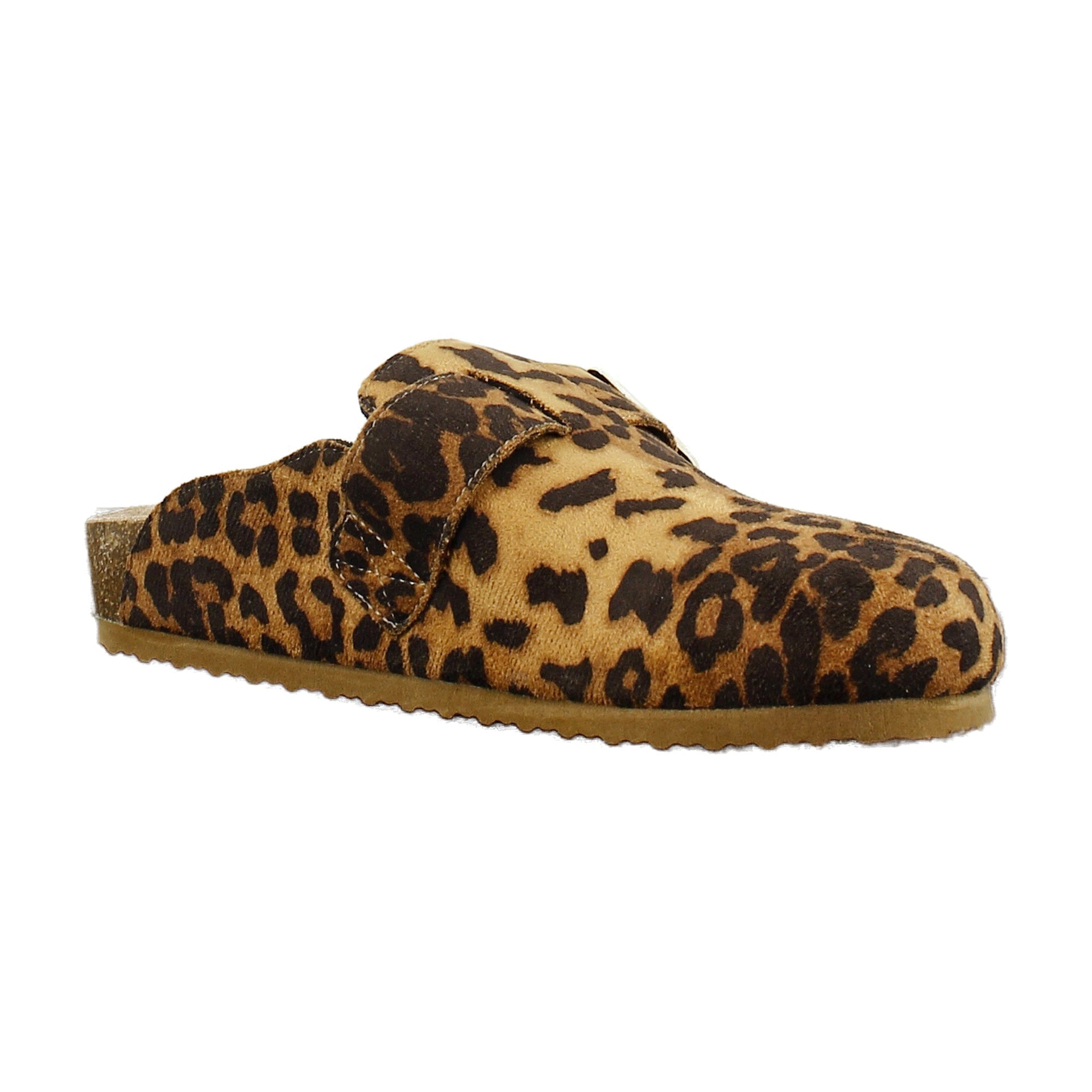 Leopard