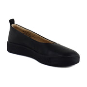 Black Sole