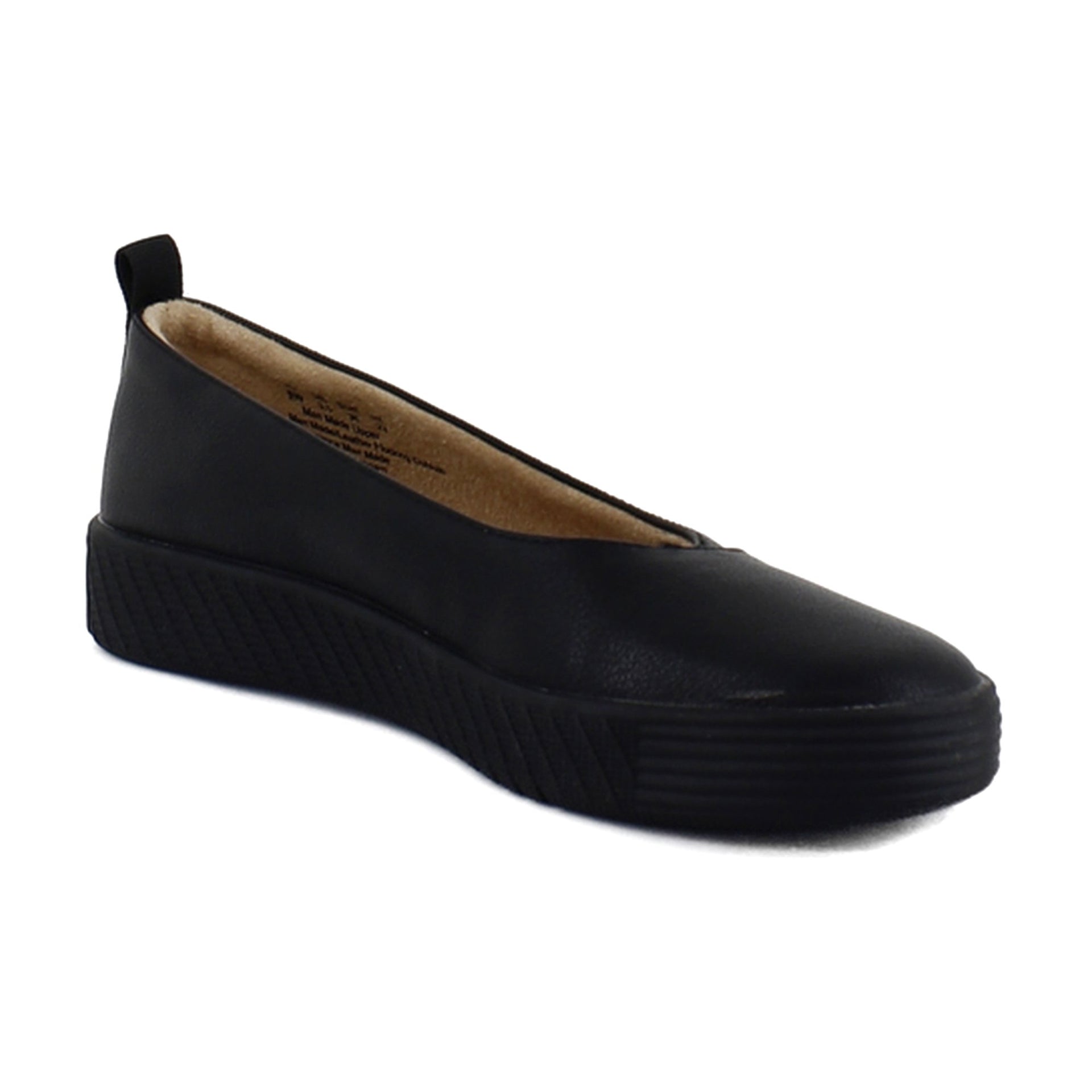 Black Sole