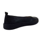 Black Sole