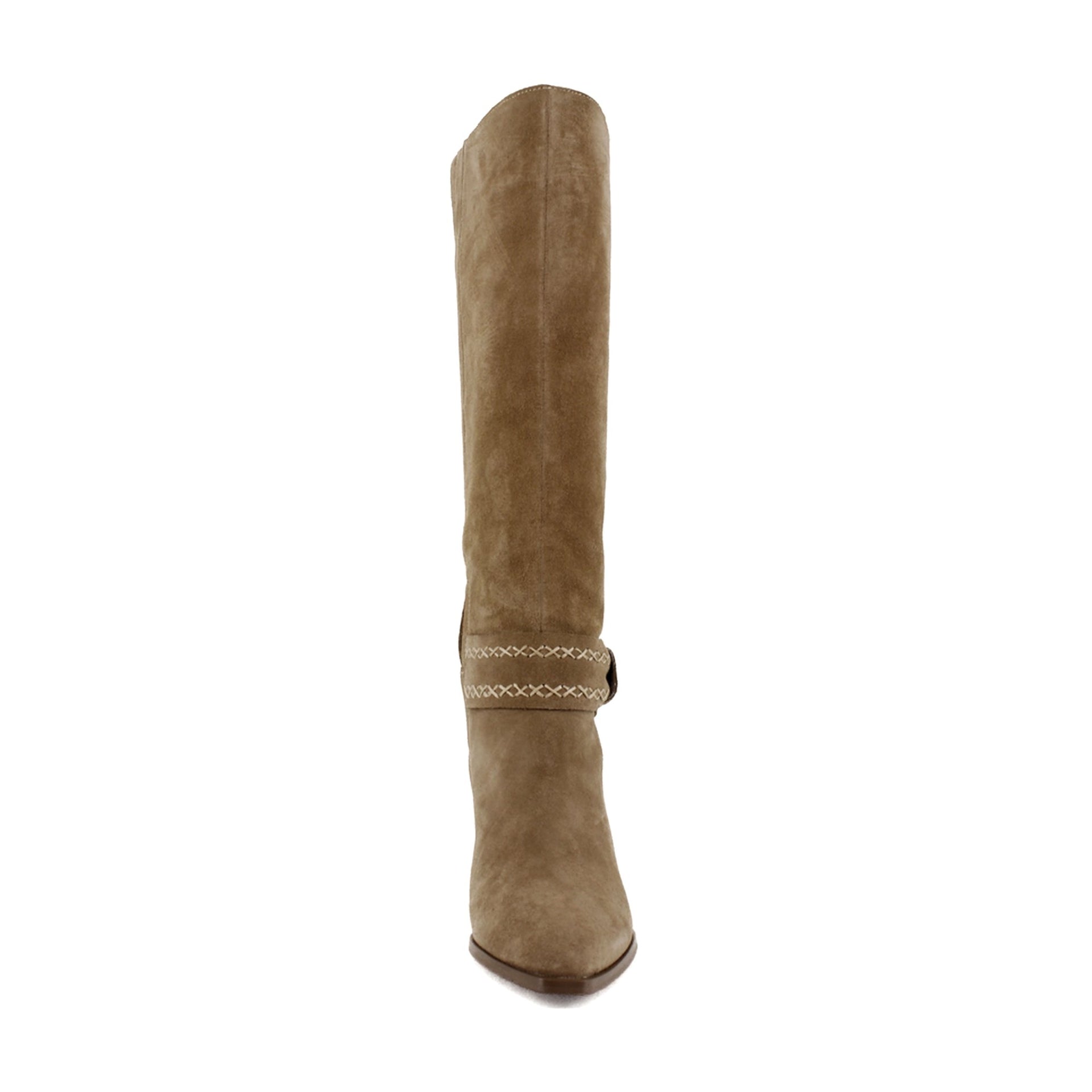 Porcini