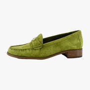Lizard Green
