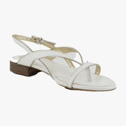 Bianco/Egyptian Gold