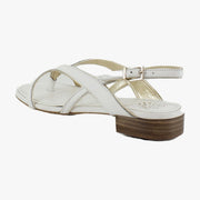 Bianco/Egyptian Gold