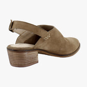 Porcini
