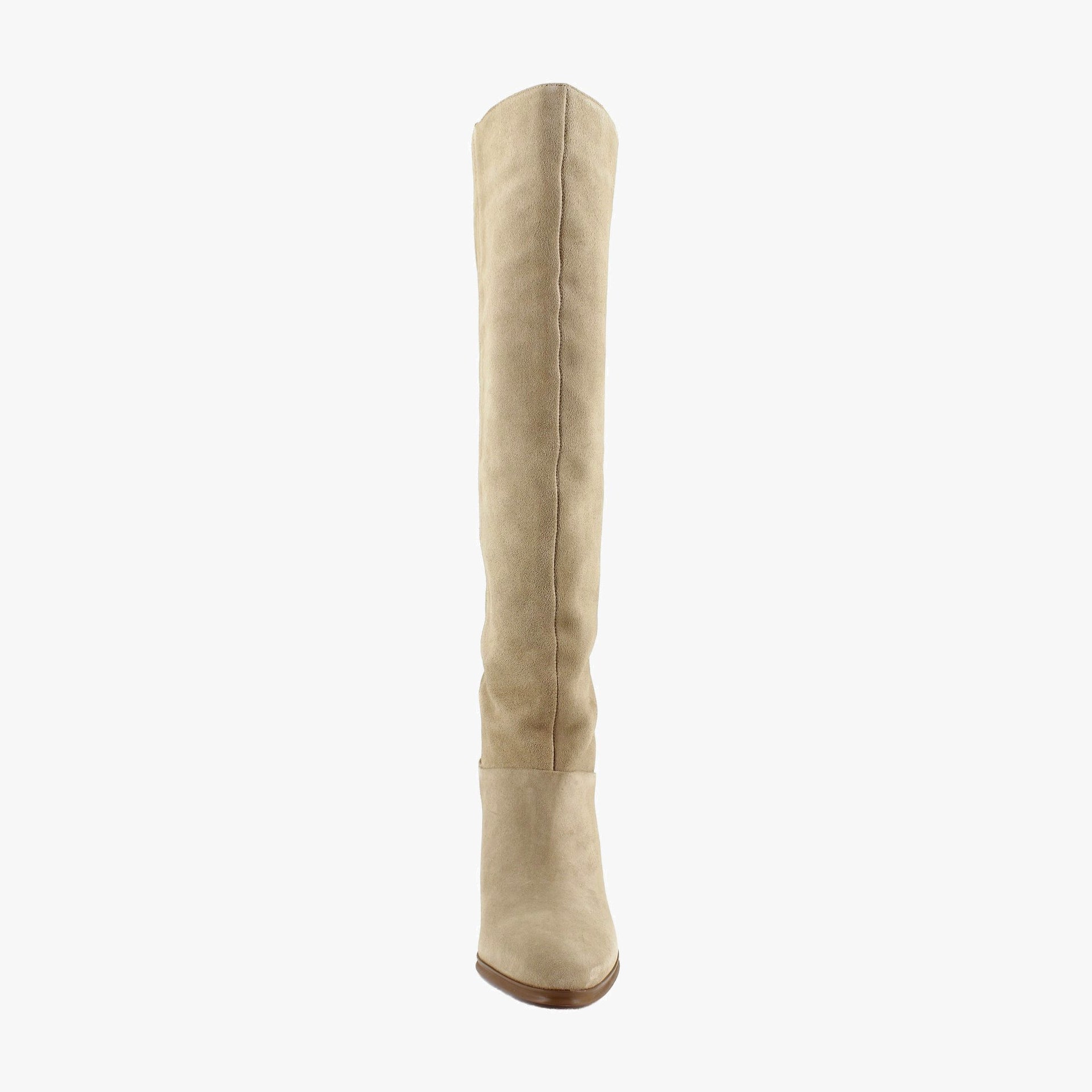 Tortilla