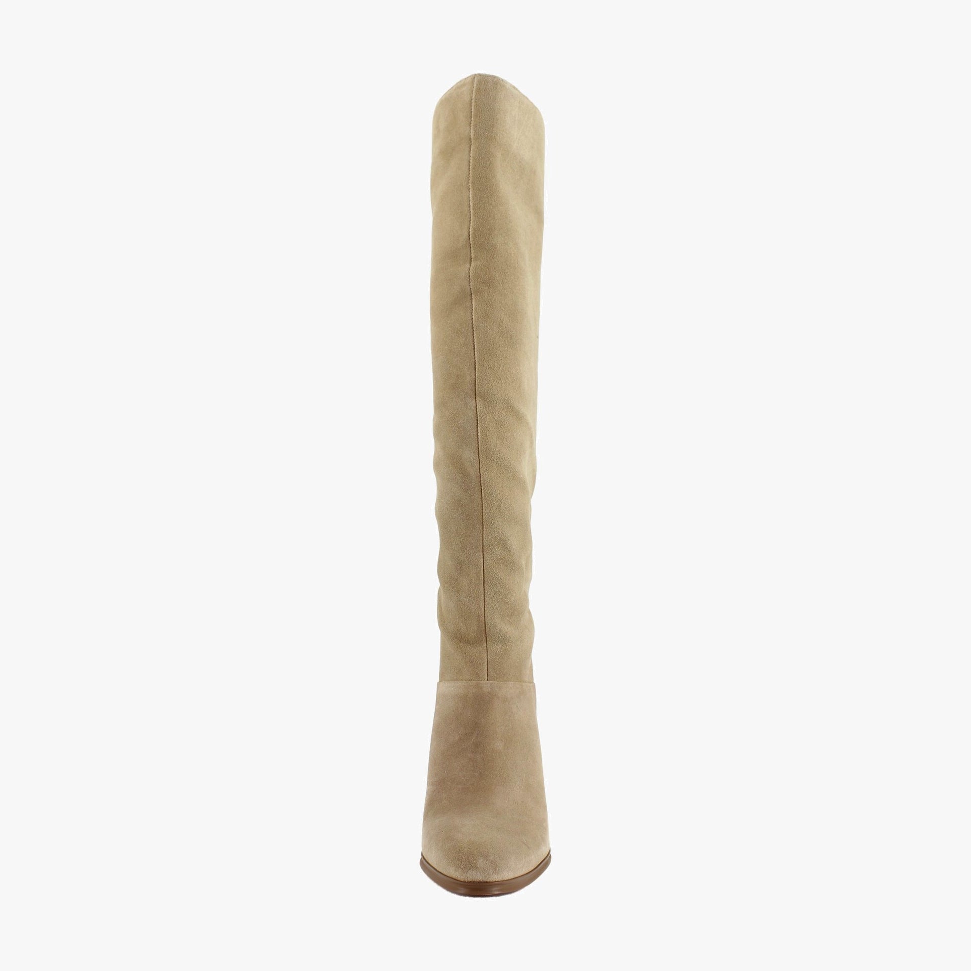 Tortilla