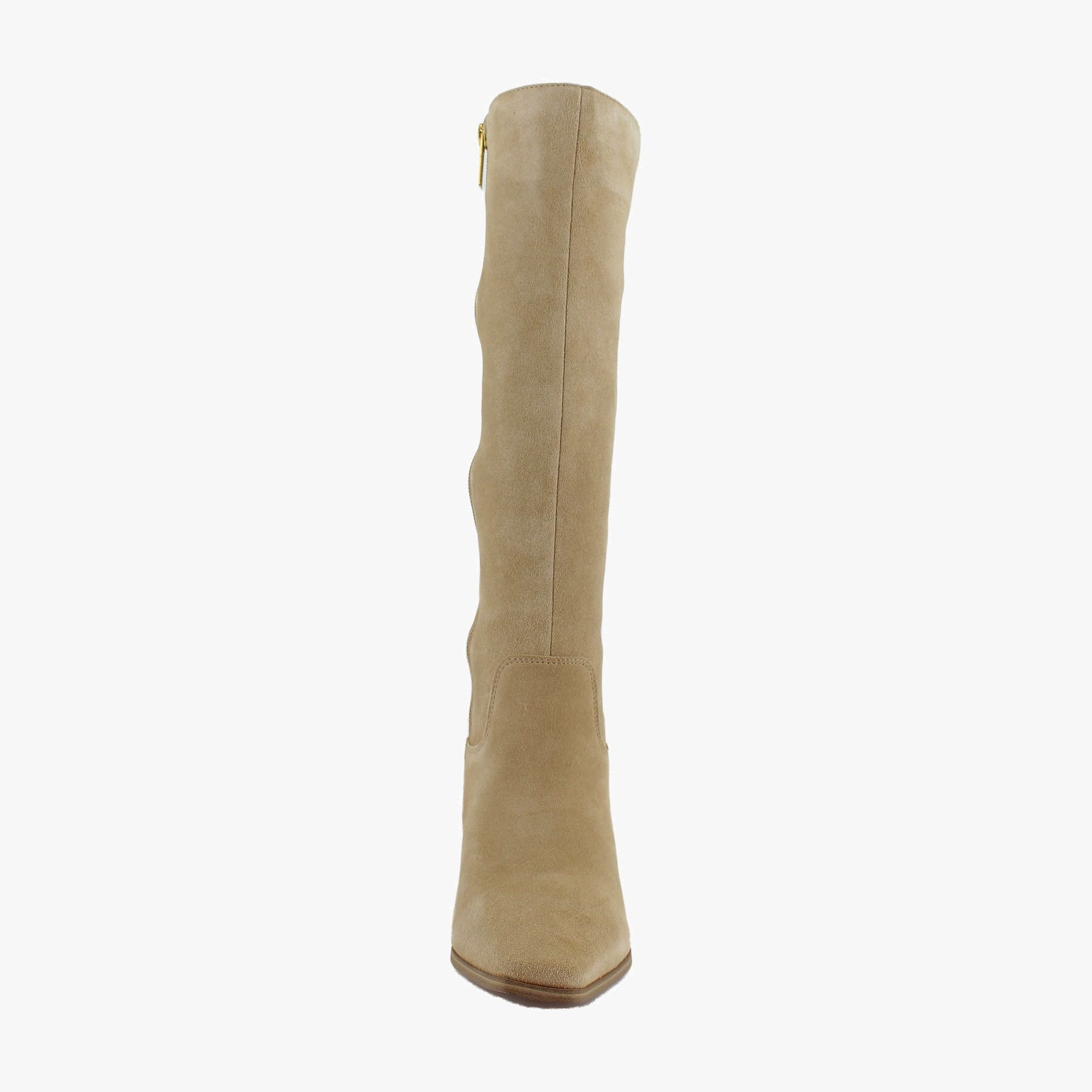 Tortilla