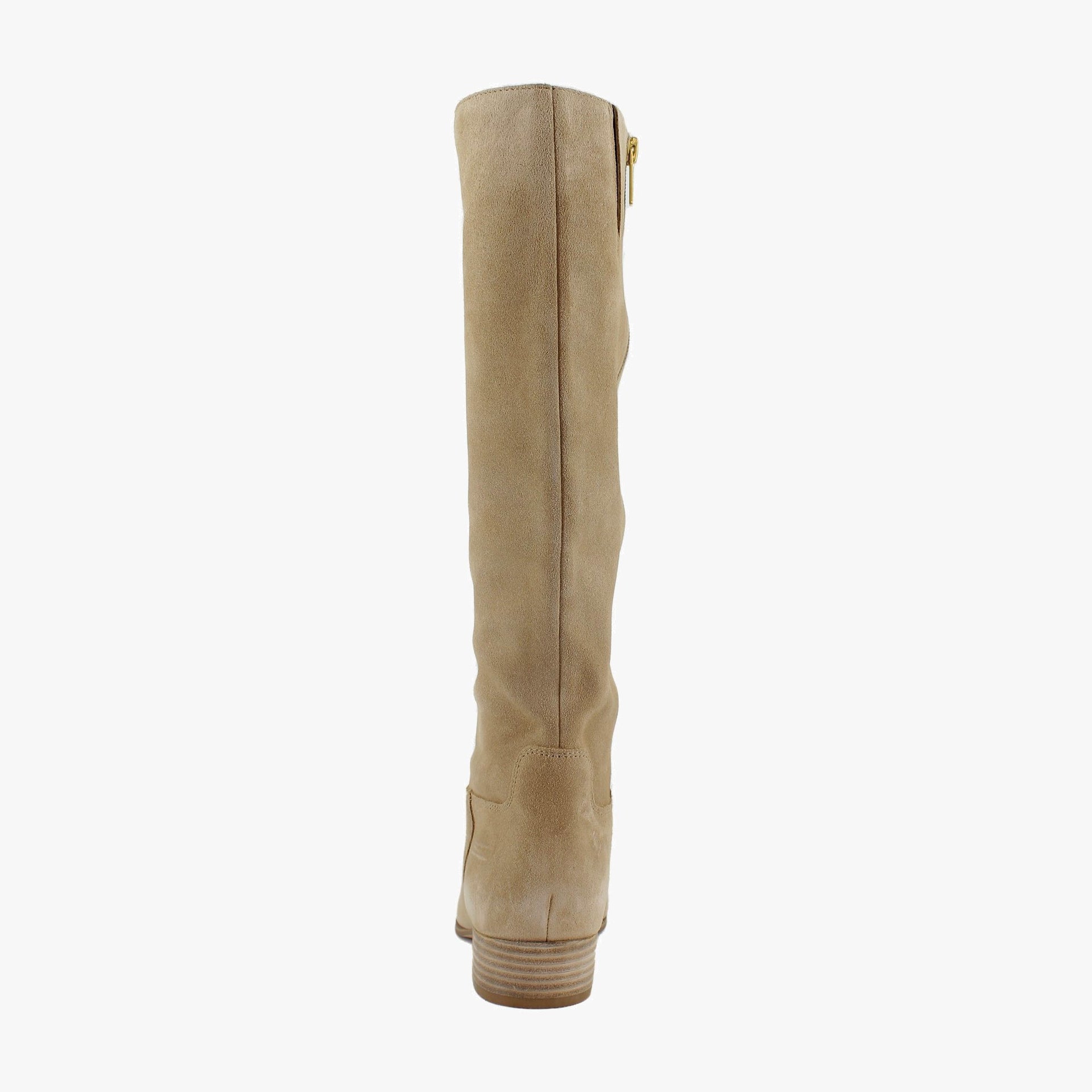 Tortilla