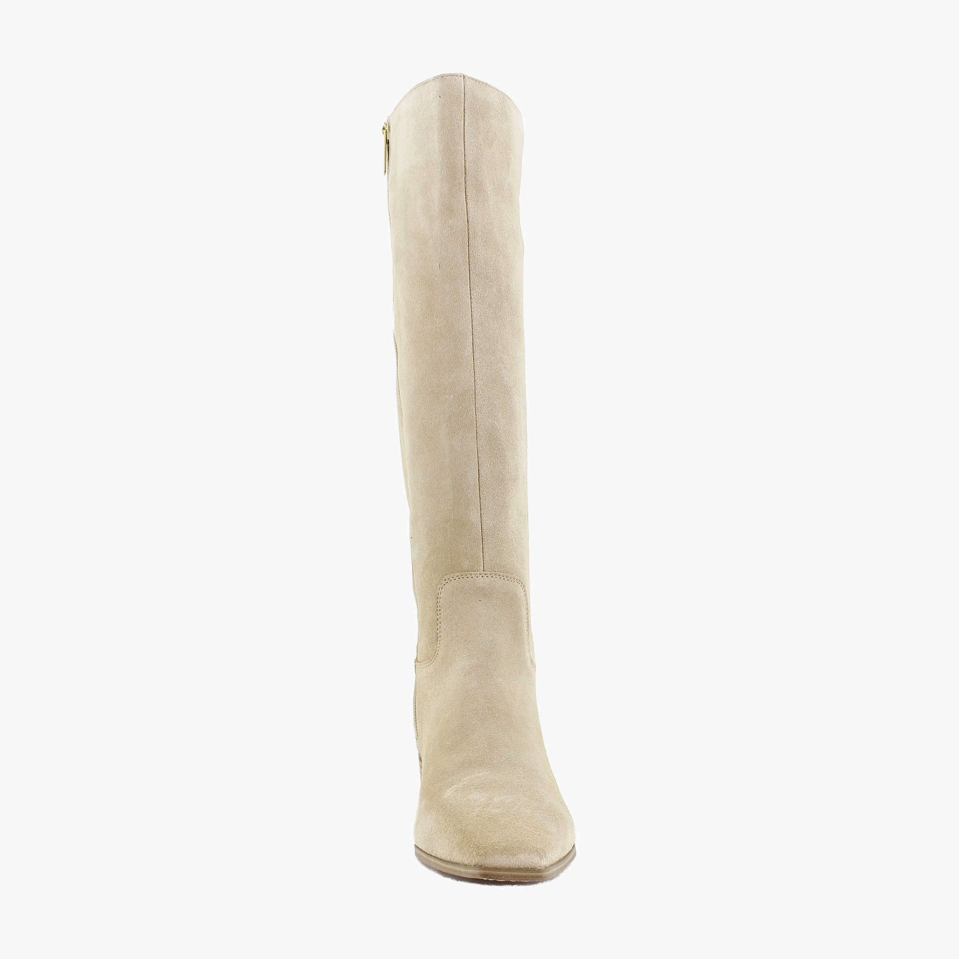 Tortilla