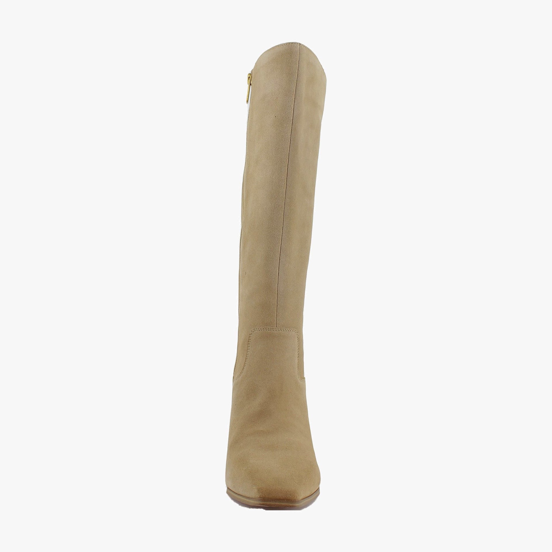 Tortilla