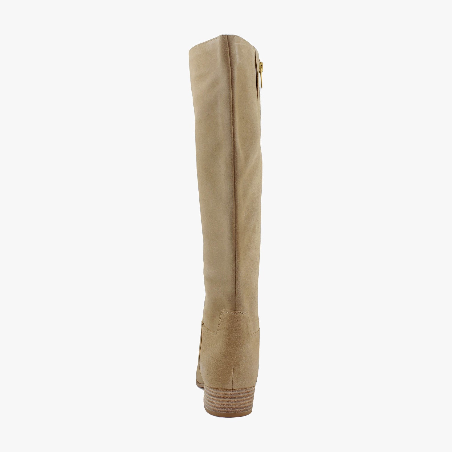 Tortilla