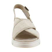 Beige Canvas