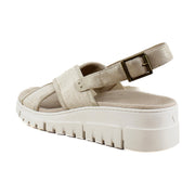 Beige Canvas