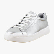 Silver Leather