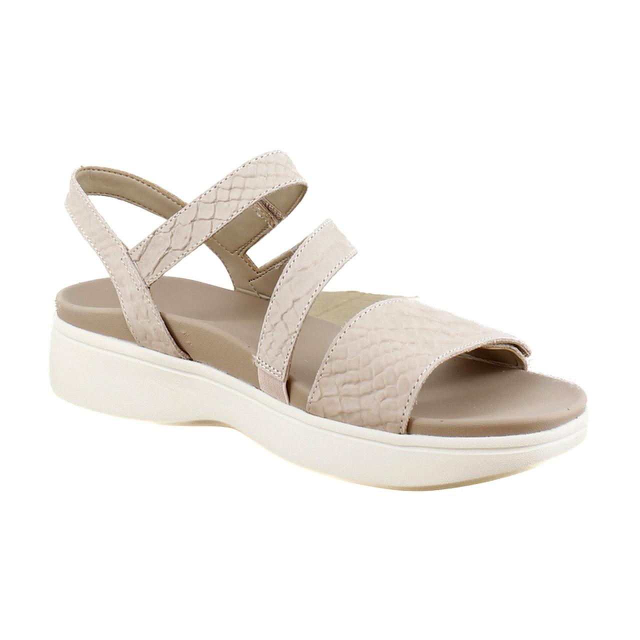 Cameors Snake Leather