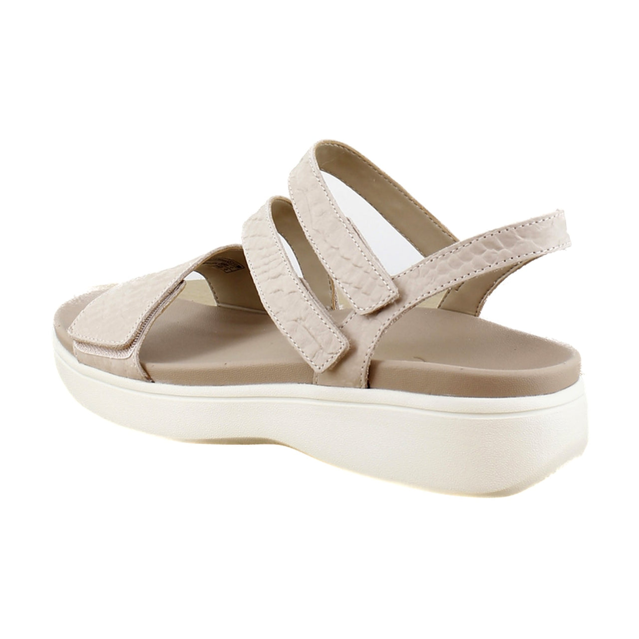 Cameors Snake Leather