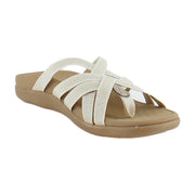 Champagne
