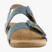 Bodega Blue