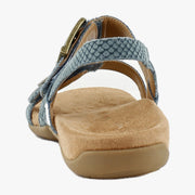 Bodega Blue