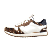 Ivory Multi