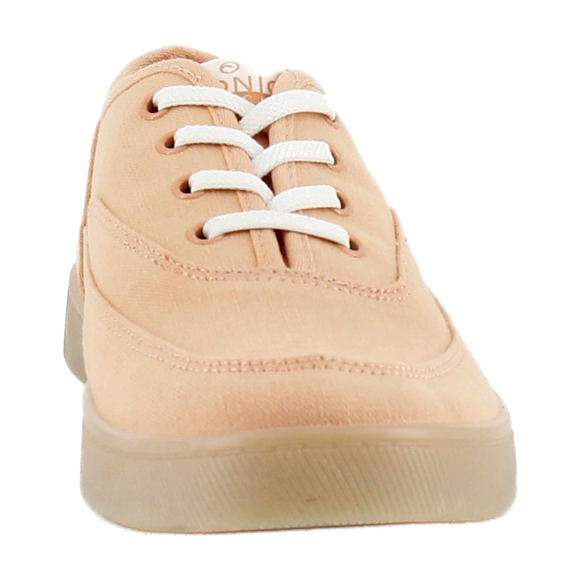 Shell Coral Canvas