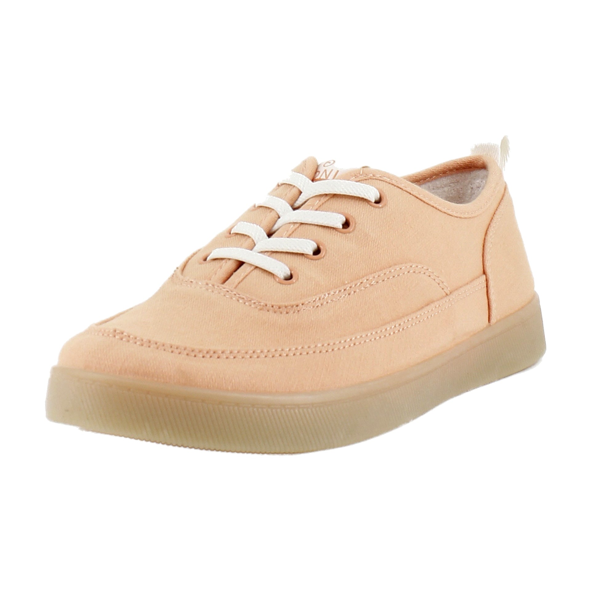 Shell Coral Canvas