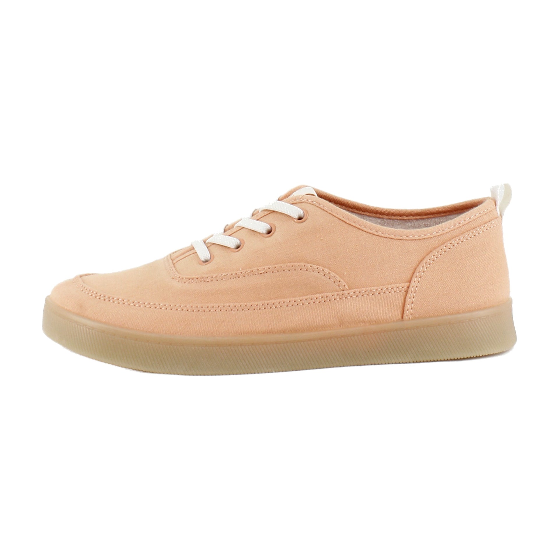 Shell Coral Canvas