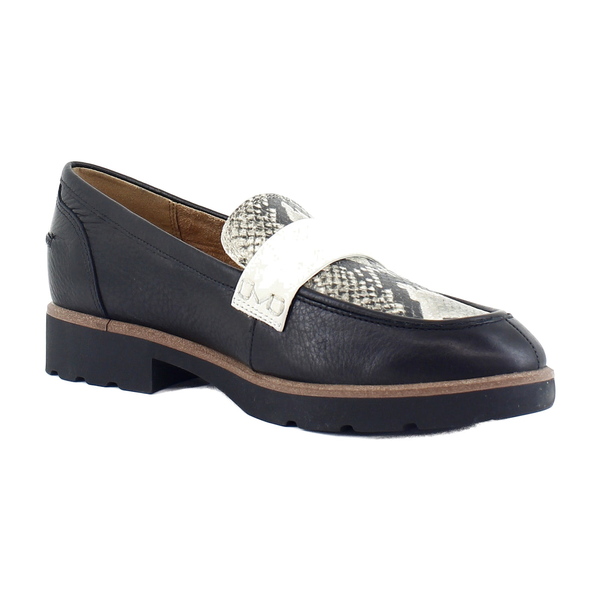 Black Multi Snake Print