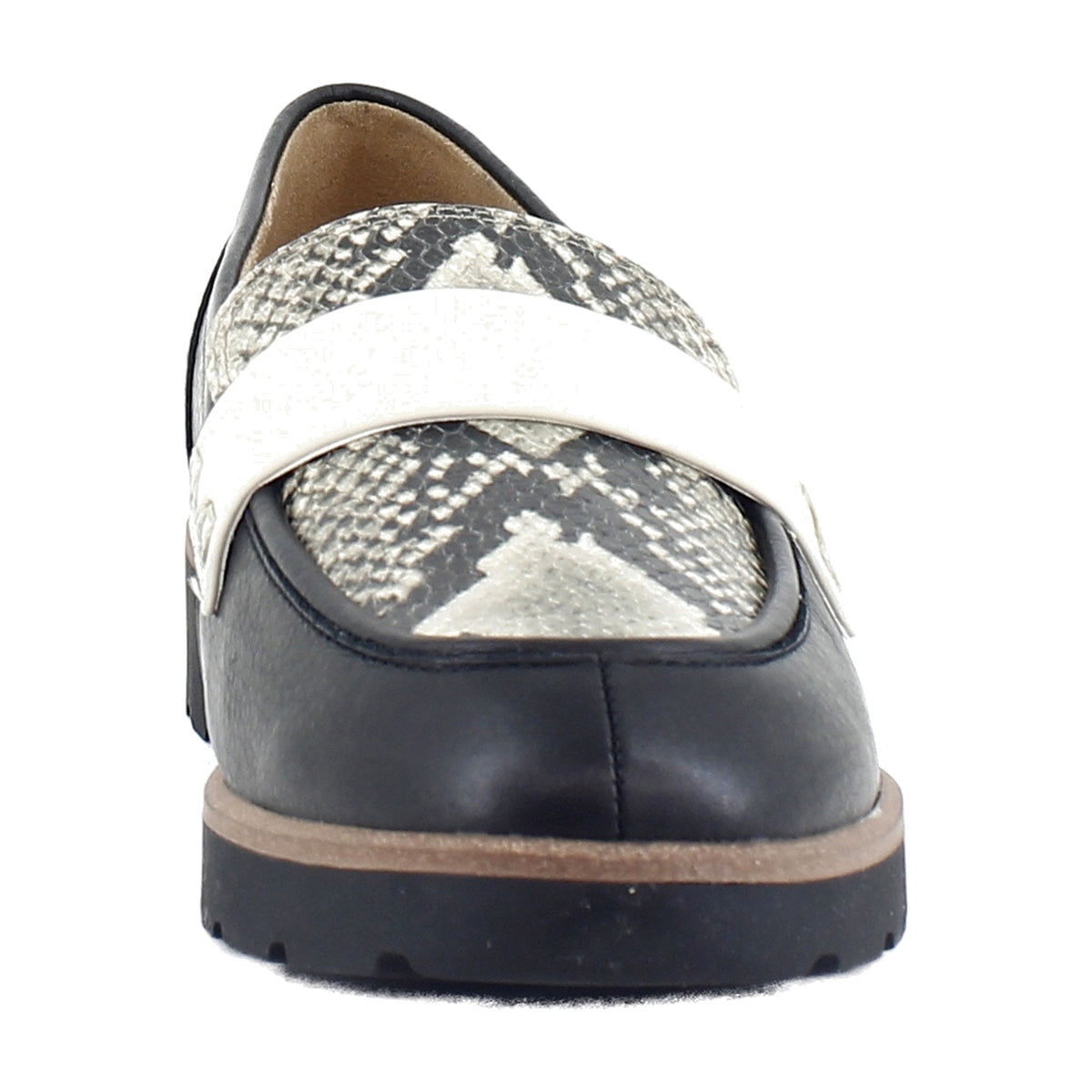 Black Multi Snake Print
