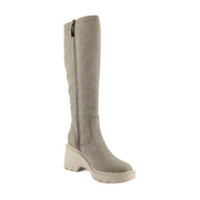 Dove Grey