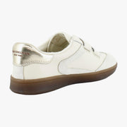 Modern Ivory/Lily White/Gold