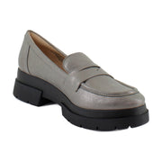 Pewter Silver Metallic