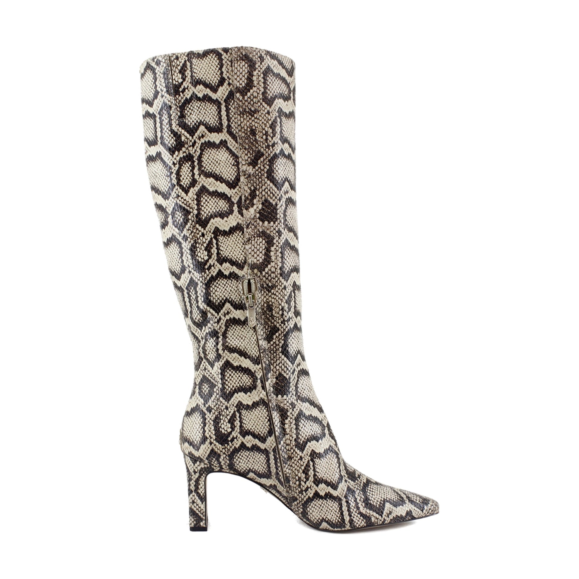 Roccia Python