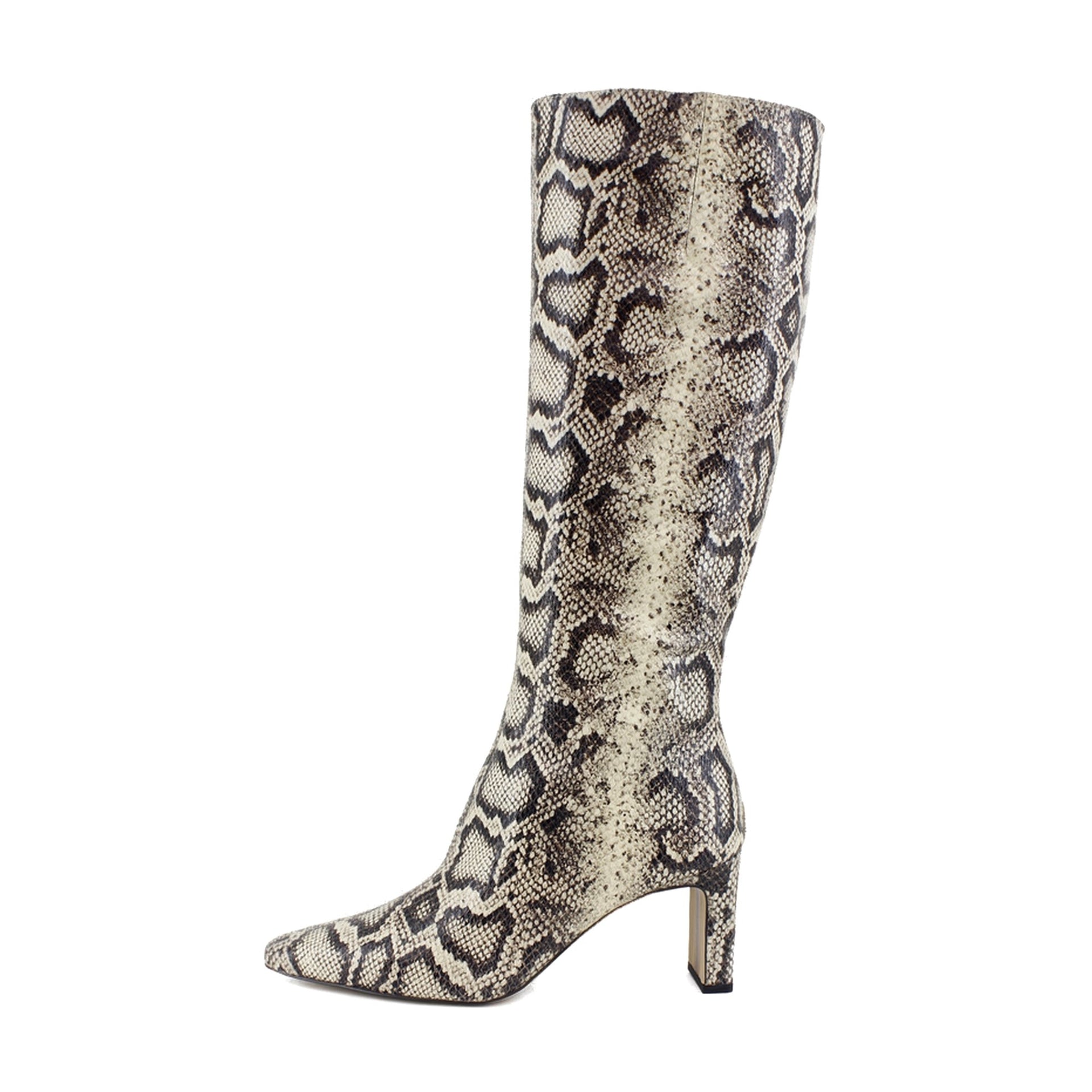 Roccia Python