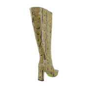 Roccia Python