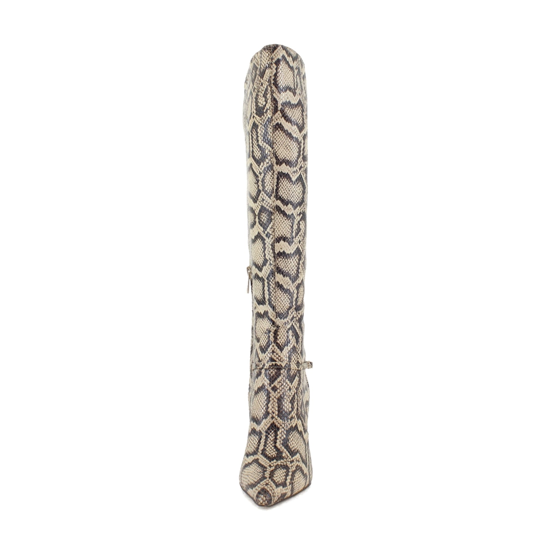 Roccia Python
