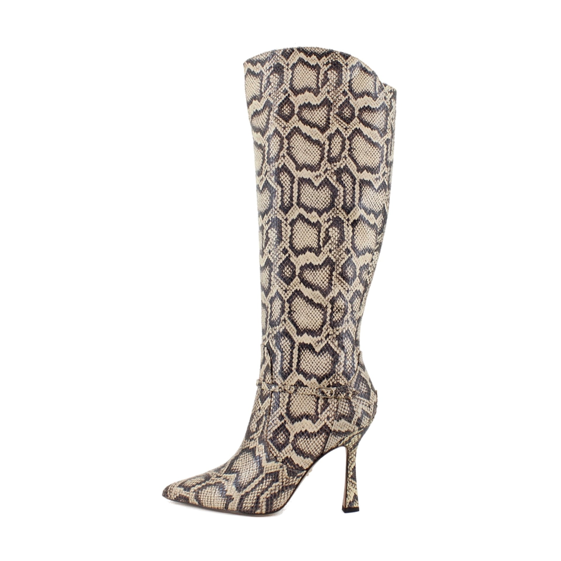 Roccia Python