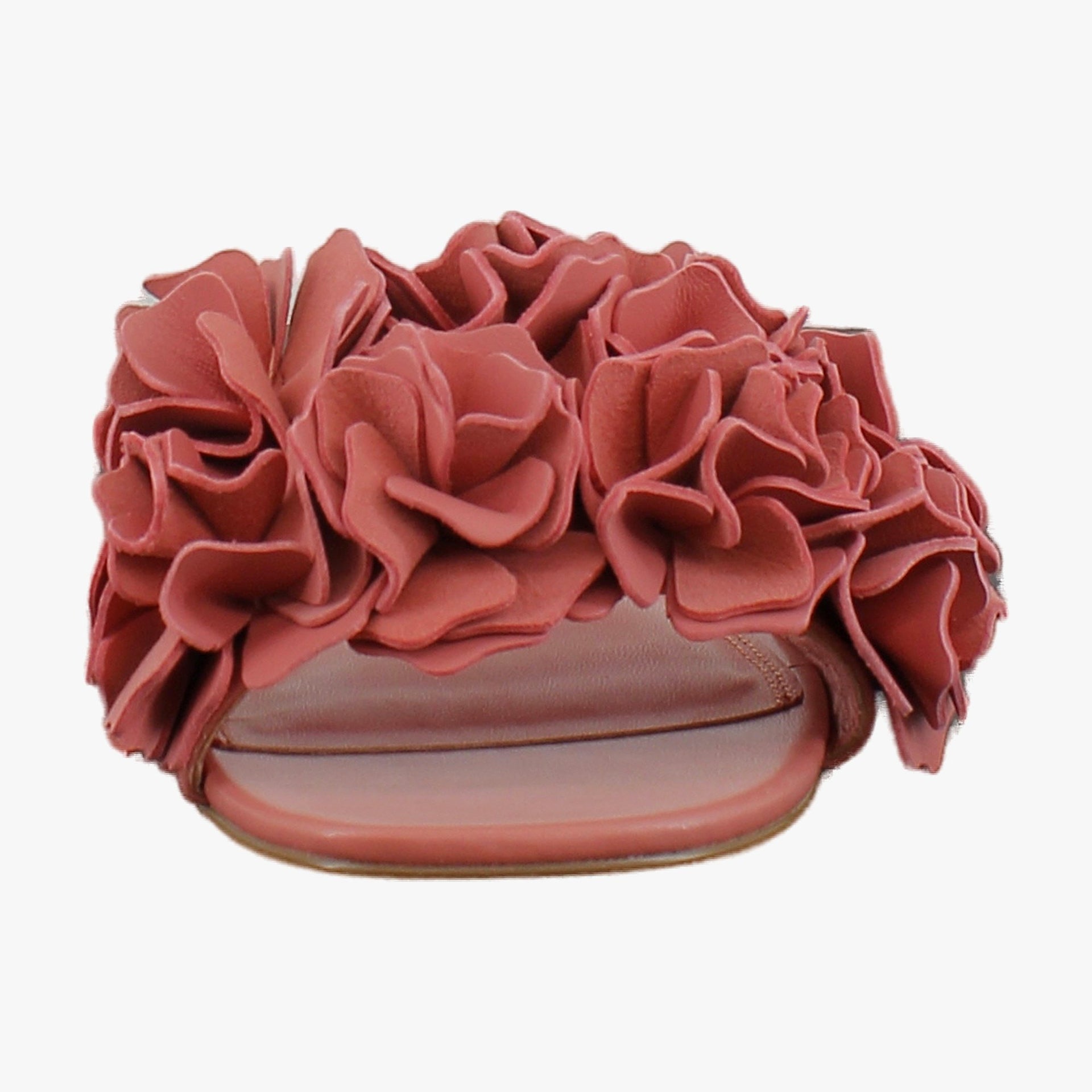 Coral Leather